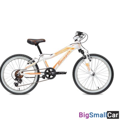 Дорожный велосипед STINGER 20AHV.FIONA.10WH8 - купить Губовском