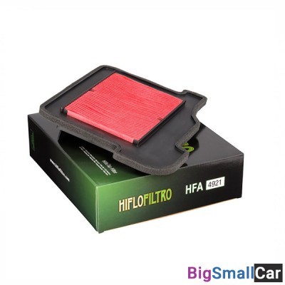 Воздушный фильтр HIFLO HFA4921 FJ/MT/FZ-09 - купить Губовском