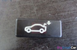 Кнопка багажника (61 Общее э/оборудование автомобиля) 61319200316 - купить Губовском