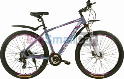Горные велосипеды PIONEER NAVIGATOR 29 AL/17 gray-silver-wine - купить Губовском