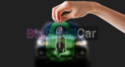 Авторские охранные системы на Цитроен - купить Губовском